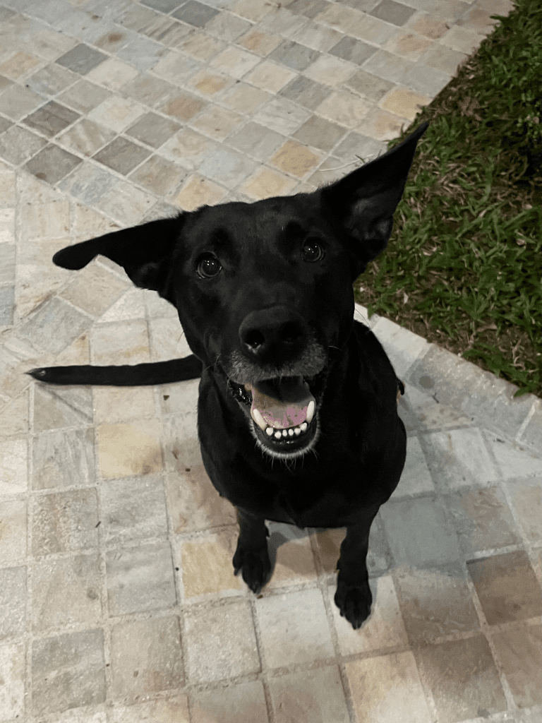 Luna