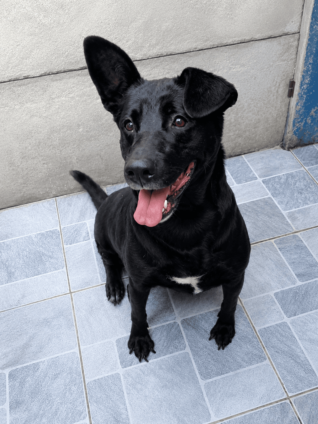 Sarah